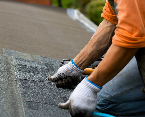 Quick and Trustworthy Emergency Roof Repair Services in Fruitville, FL